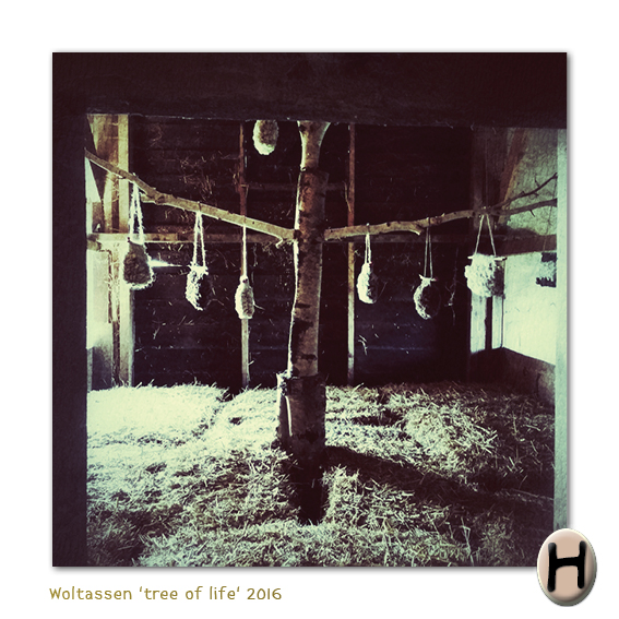 woltas Boetje van Klemat Hendrikje Texel