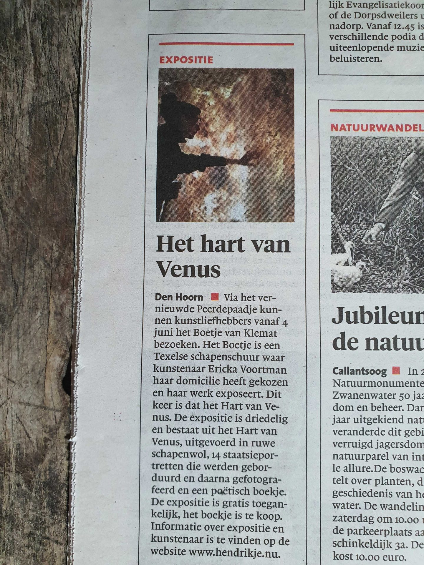 expo Hart van Venus Noordhollands Dagblad